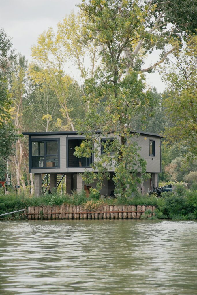 Decorating Options Eco-Friendly Home