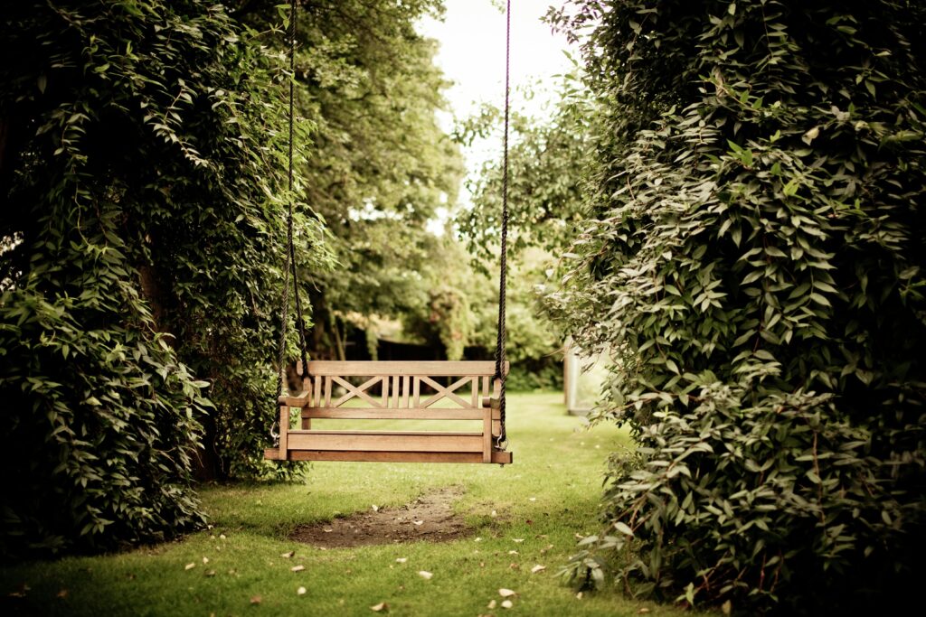 10 Tips to Keep Your Lawn Fresh in Late Summer